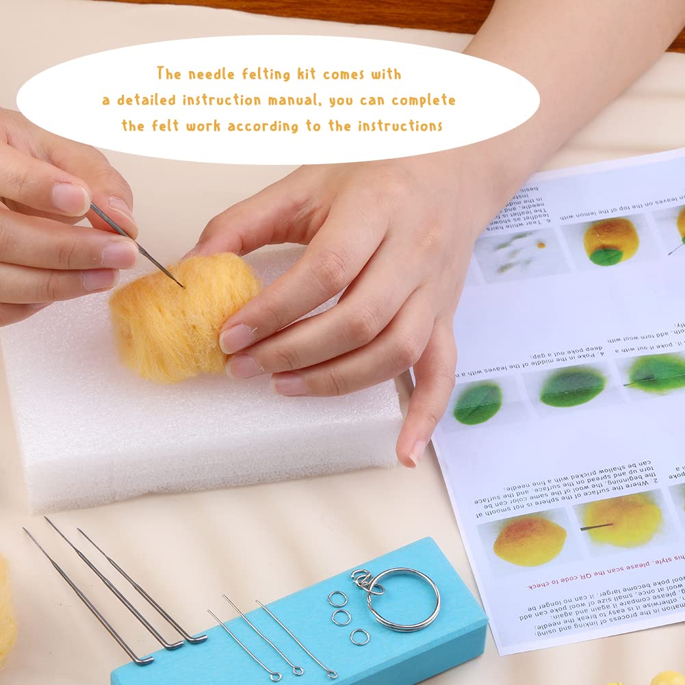 Peach Needle Felting Kit with Instructions – Mayboos