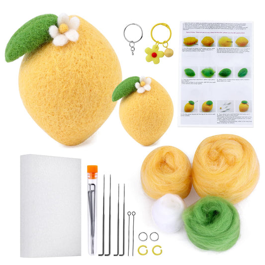 Needle Felting Beginner Kit,Lemon Needle Felting Kit with Instructions